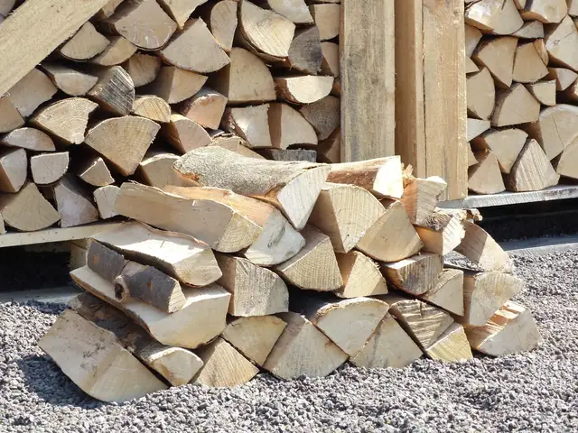 Premium Brennholz Buche 33 cm – 25 kg