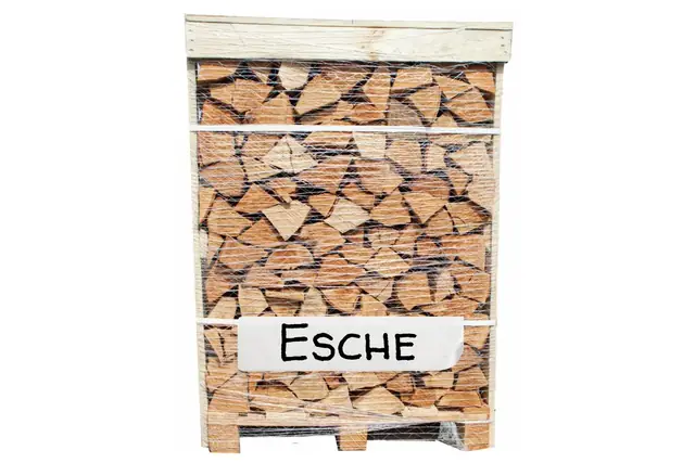 Premium Brennholz Esche 25 cm – 1 RM