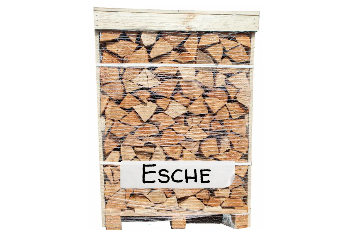 Premium Brennholz Esche 25 cm – 1 RM