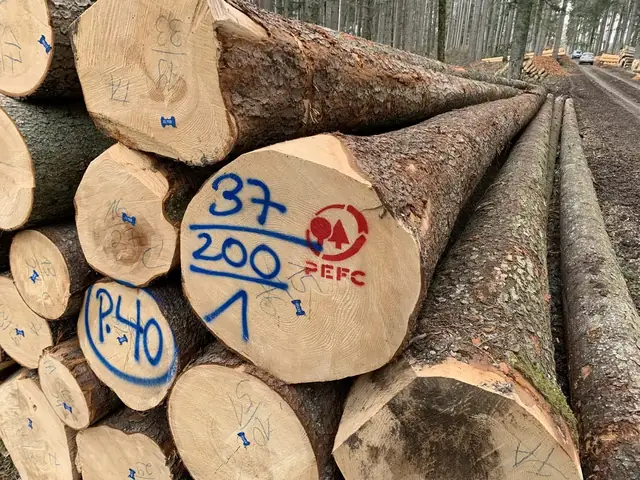 Stammholz Nadelholz 20 RM